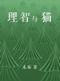 理智与猫