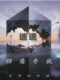 迷途归零于此