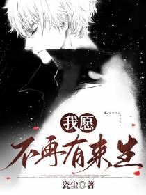 我愿不再有来生