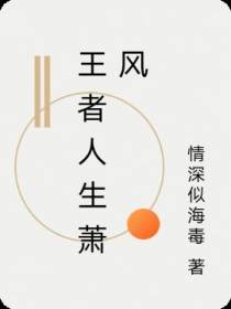 王者人生萧风