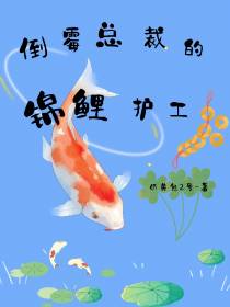 倒霉总裁的锦鲤护工