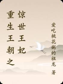 重生王朝之惊世王妃