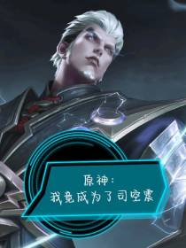 原神：我竟成为了司空震