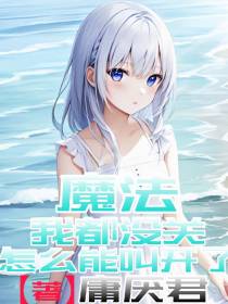魔法：我都没关怎么叫开了？