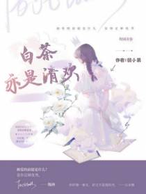白茶亦是清欢