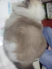 一个迷路的怪阿