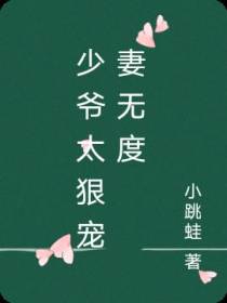 少爷太狠宠妻无度