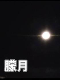 朦月