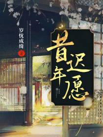 昔年迟愿