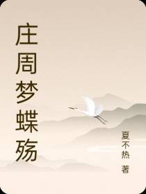 庄周梦蝶殇