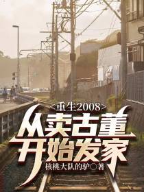 重生2008,从卖古董开始发家