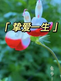 挚爱一生