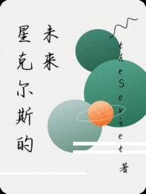 星克尔斯的未来