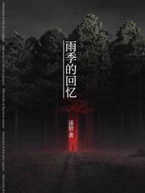 雨季的回忆：刘宏
