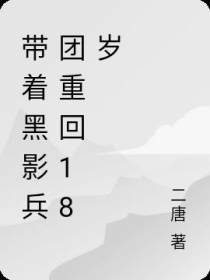 带着黑影兵团重回18岁