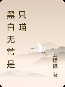 黑白无常是只喵