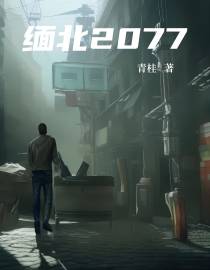 缅北2077
