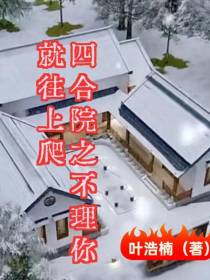 四合院之不理你就往上爬