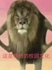 这就是传统的校园文化