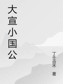 大宣小国公