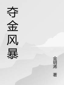 夺金风暴