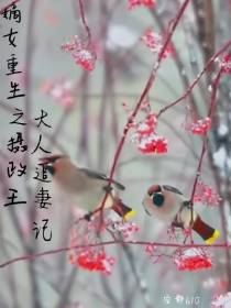 嫡女重生之摄政王大人追妻记