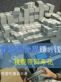 穿越异世界赚的钱,我能带回来花