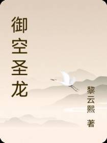 御空圣龙