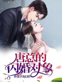 唐总的闪婚对象