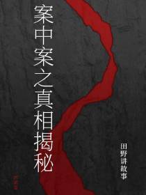 案中案之真相揭秘