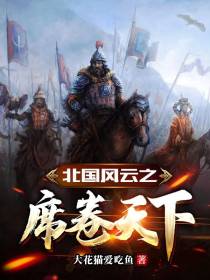 北国风云之席卷天下