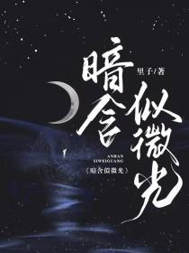 暗含似微光