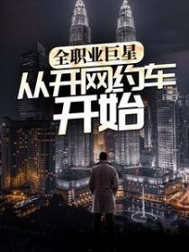 全职业巨星：从开网约车开始