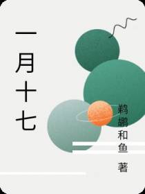 一月十七