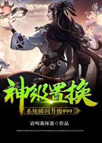 神级置换系统瞬间升级999