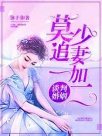 谈判婚姻：莫少追妻一加二