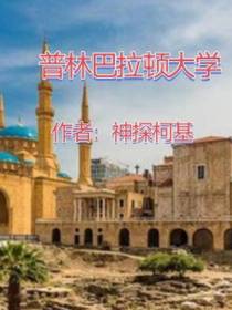 普林巴拉顿大学