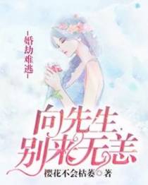 婚劫难逃：向先生，别来无恙