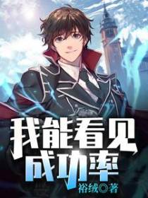 我能看见成功率