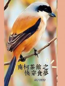 南柯茶馆之快穿食梦