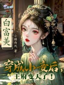白富美穿成小妾后,王府变天了！