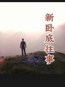 新卧底往事