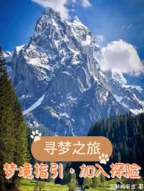 寻梦之旅：梦境指引,加入探险