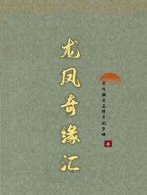 龙凤奇缘汇