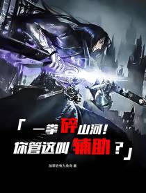 一拳碎山河！你管这叫辅助！？