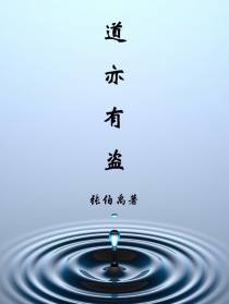 道亦有盗