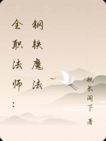 全职法师：钢铁魔法