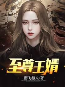 至尊王婿