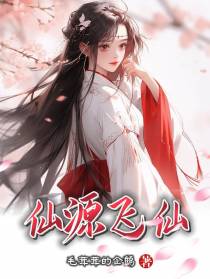 仙源飞仙
