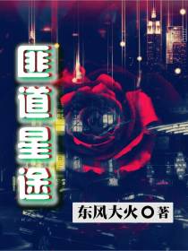 匪道星途